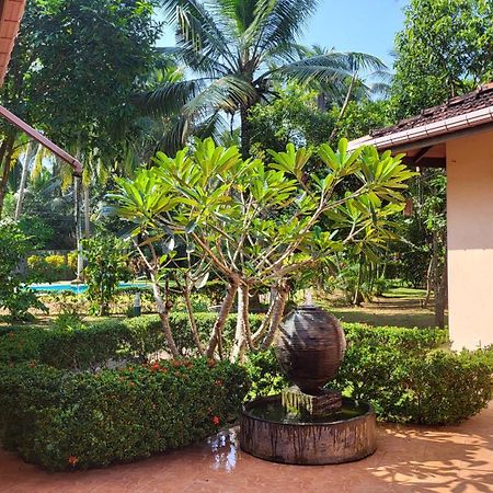 King Coconut Lodge Habaraduwa Central Dış mekan fotoğraf