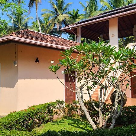 King Coconut Lodge Habaraduwa Central Dış mekan fotoğraf