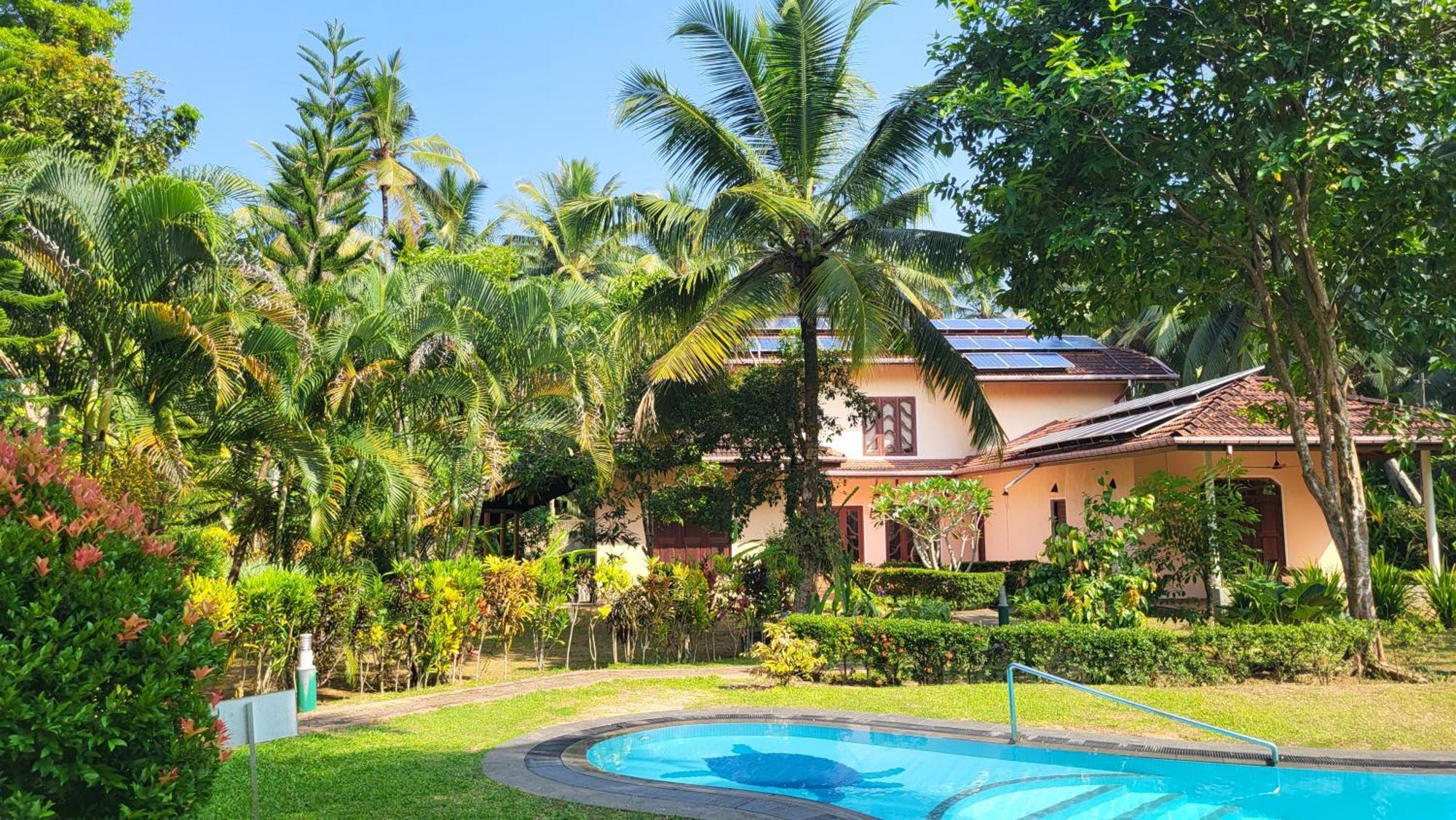 King Coconut Lodge Habaraduwa Central Dış mekan fotoğraf