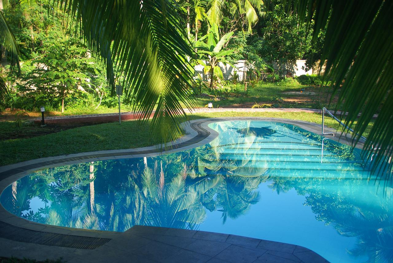 King Coconut Lodge Habaraduwa Central Dış mekan fotoğraf