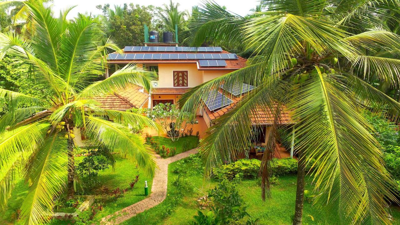 King Coconut Lodge Habaraduwa Central Dış mekan fotoğraf