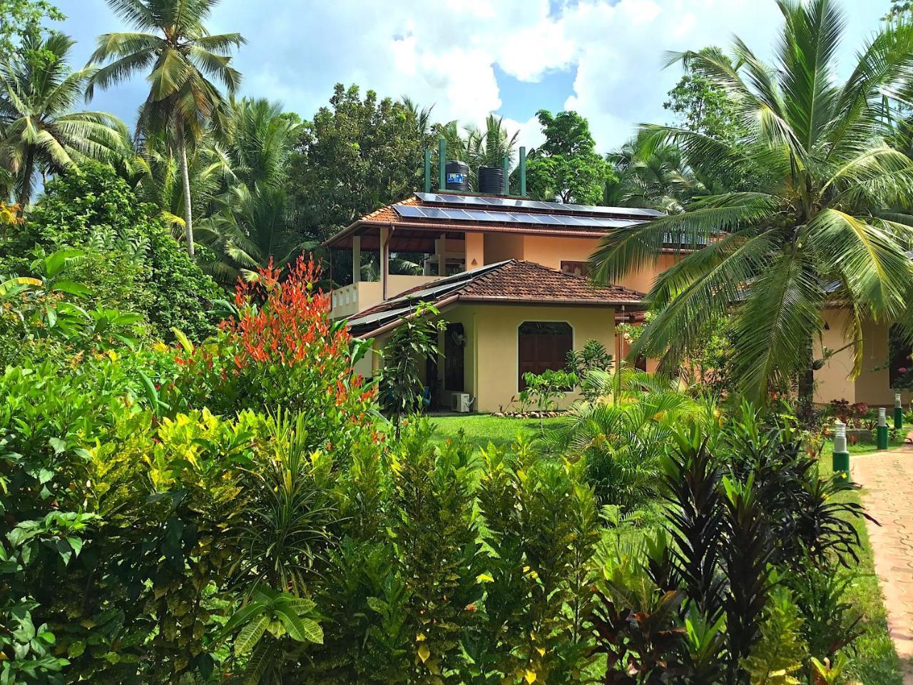 King Coconut Lodge Habaraduwa Central Dış mekan fotoğraf